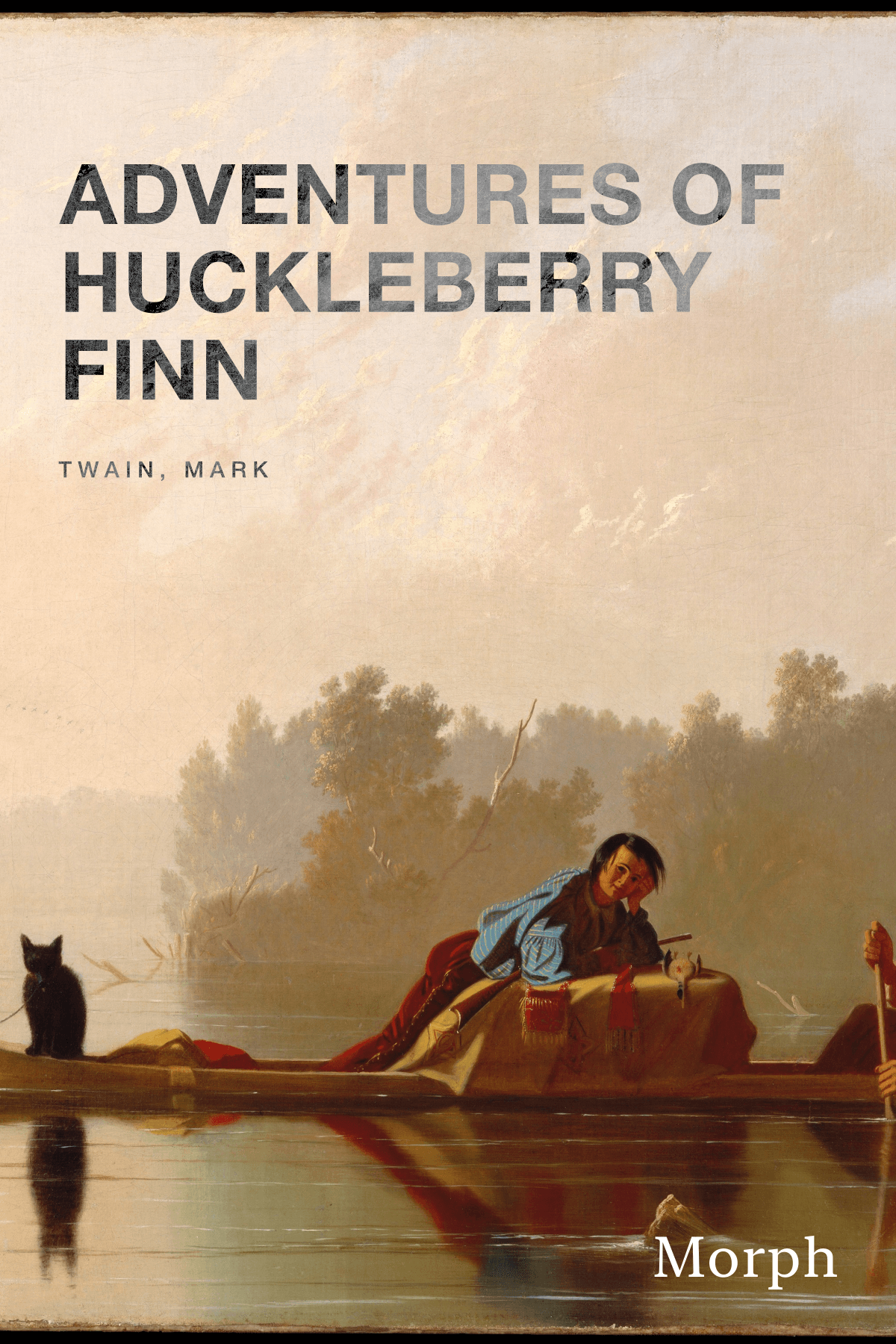 Cover of Adventures of Huckleberry Finn